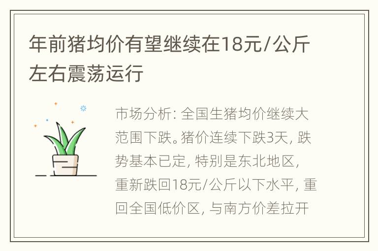 年前猪均价有望继续在18元/公斤左右震荡运行