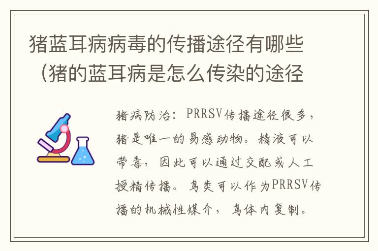 猪蓝耳病病毒的传播途径有哪些（猪的蓝耳病是怎么传染的途径是什么）