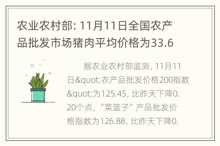 农业农村部：11月11日全国农产品批发市场猪肉平均价格为33.64元/公