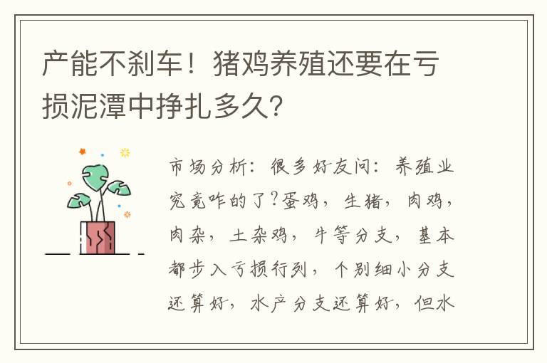 产能不刹车！猪鸡养殖还要在亏损泥潭中挣扎多久？