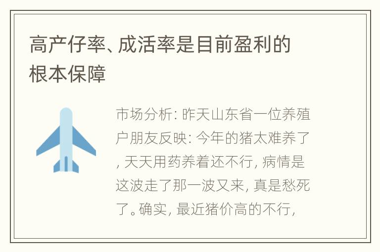 高产仔率、成活率是目前盈利的根本保障