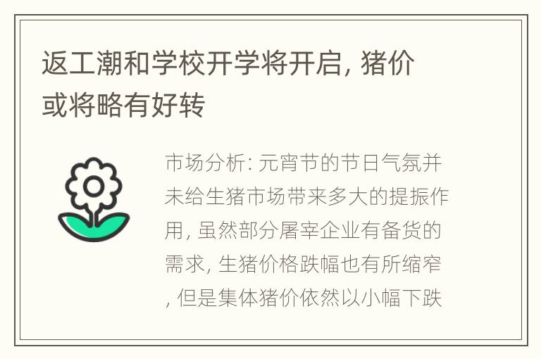 返工潮和学校开学将开启，猪价或将略有好转