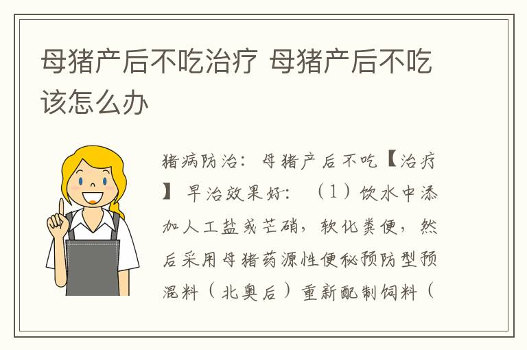 母猪产后不吃治疗 母猪产后不吃该怎么办