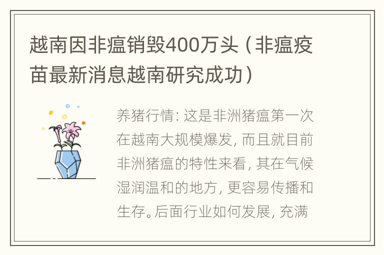 越南因非瘟销毁400万头（非瘟疫苗最新消息越南研究成功）