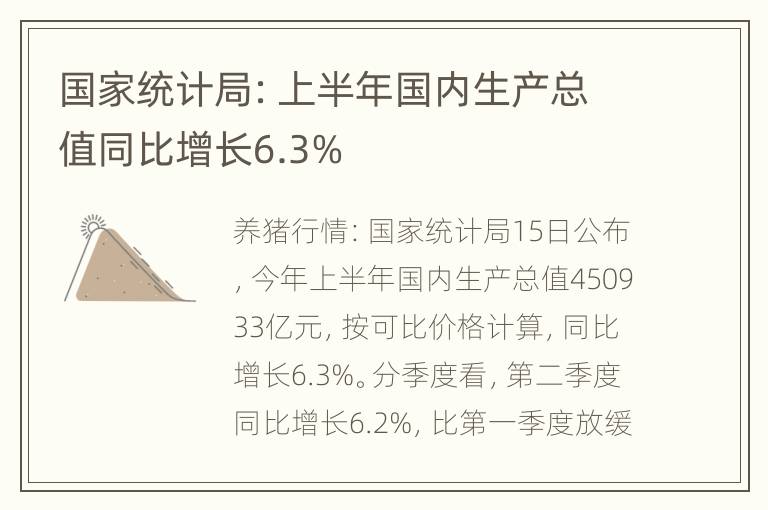 国家统计局：上半年国内生产总值同比增长6.3%