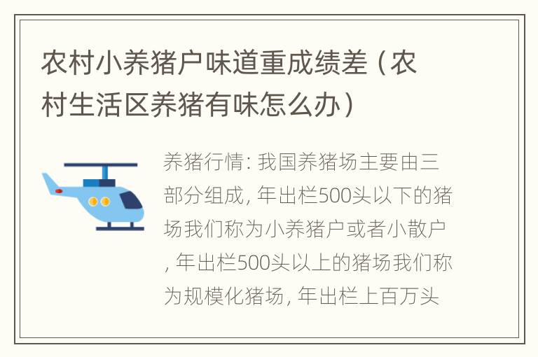 农村小养猪户味道重成绩差（农村生活区养猪有味怎么办）