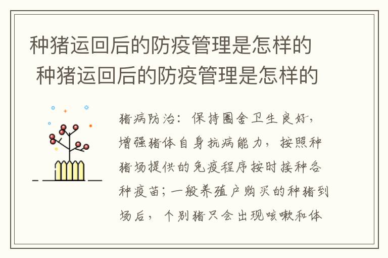 种猪运回后的防疫管理是怎样的 种猪运回后的防疫管理是怎样的流程