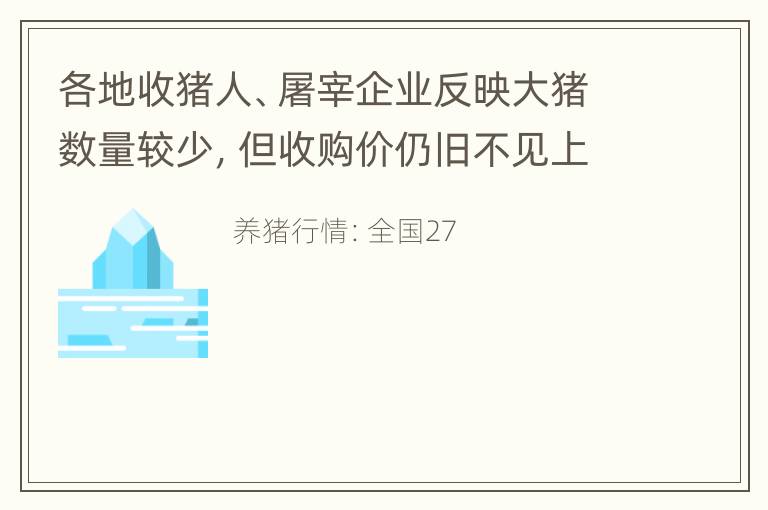 各地收猪人、屠宰企业反映大猪数量较少，但收购价仍旧不见上涨