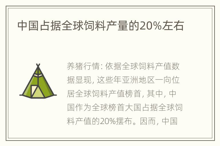 中国占据全球饲料产量的20%左右