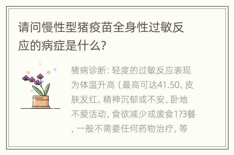 请问慢性型猪疫苗全身性过敏反应的病症是什么？