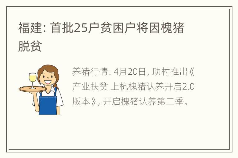 福建：首批25户贫困户将因槐猪脱贫