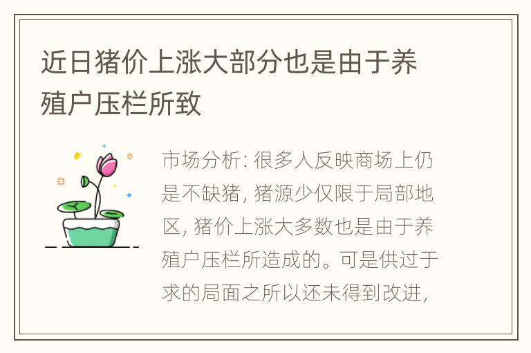 近日猪价上涨大部分也是由于养殖户压栏所致