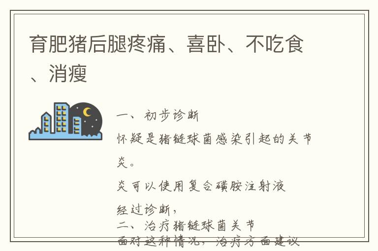 育肥猪后腿疼痛、喜卧、不吃食、消瘦