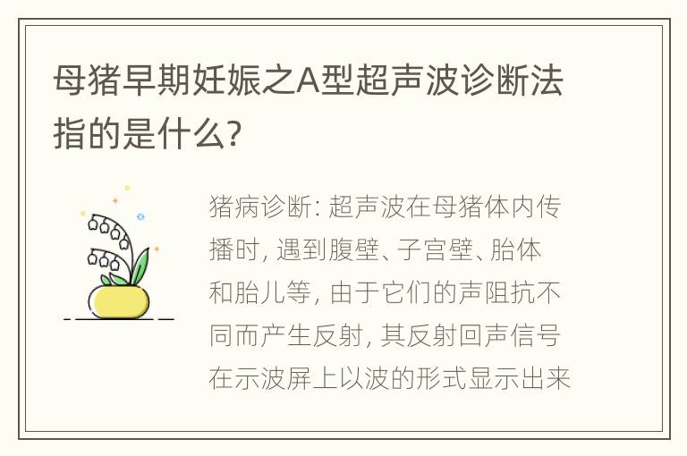 母猪早期妊娠之A型超声波诊断法指的是什么？