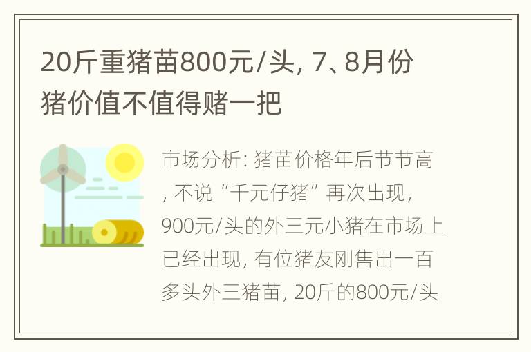 20斤重猪苗800元/头，7、8月份猪价值不值得赌一把