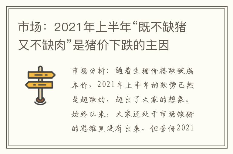 市场：2021年上半年“既不缺猪又不缺肉”是猪价下跌的主因