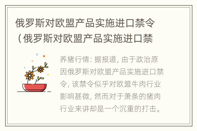 俄罗斯对欧盟产品实施进口禁令（俄罗斯对欧盟产品实施进口禁令的原因）