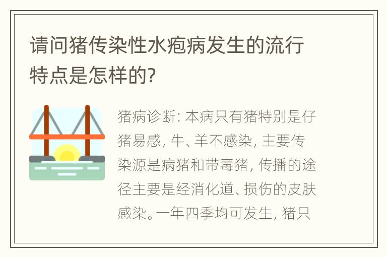 请问猪传染性水疱病发生的流行特点是怎样的？