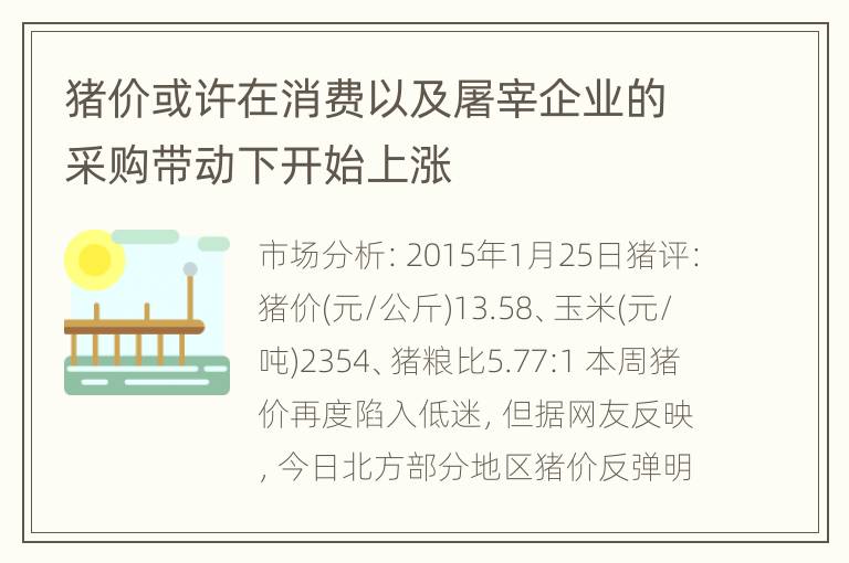 猪价或许在消费以及屠宰企业的采购带动下开始上涨