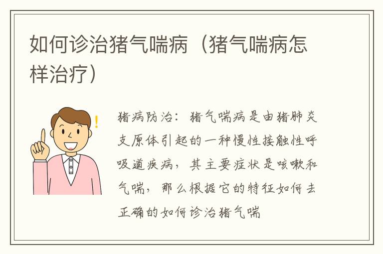 如何诊治猪气喘病（猪气喘病怎样治疗）