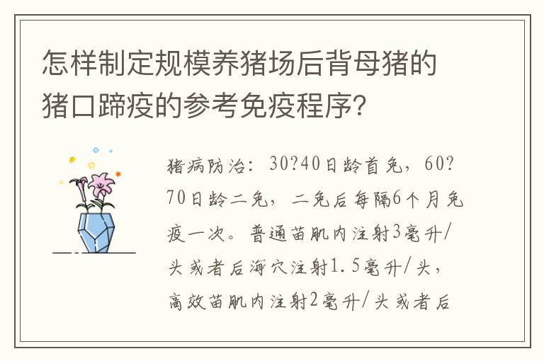 怎样制定规模养猪场后背母猪的猪口蹄疫的参考免疫程序？