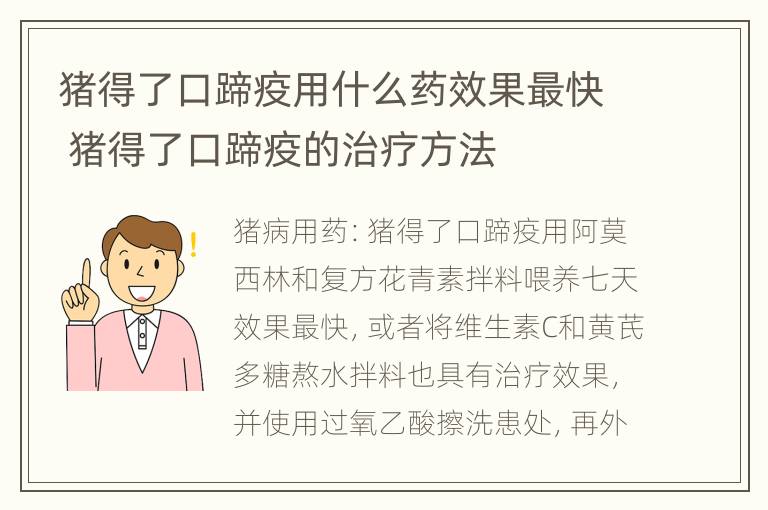 猪得了口蹄疫用什么药效果最快 猪得了口蹄疫的治疗方法