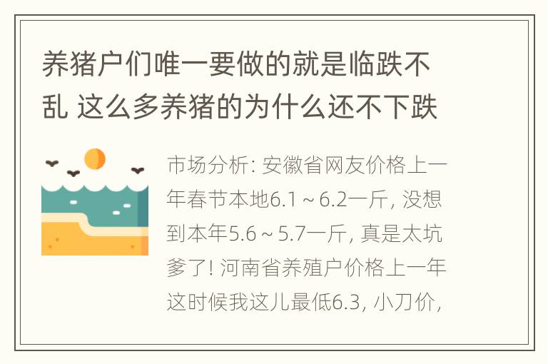 养猪户们唯一要做的就是临跌不乱 这么多养猪的为什么还不下跌