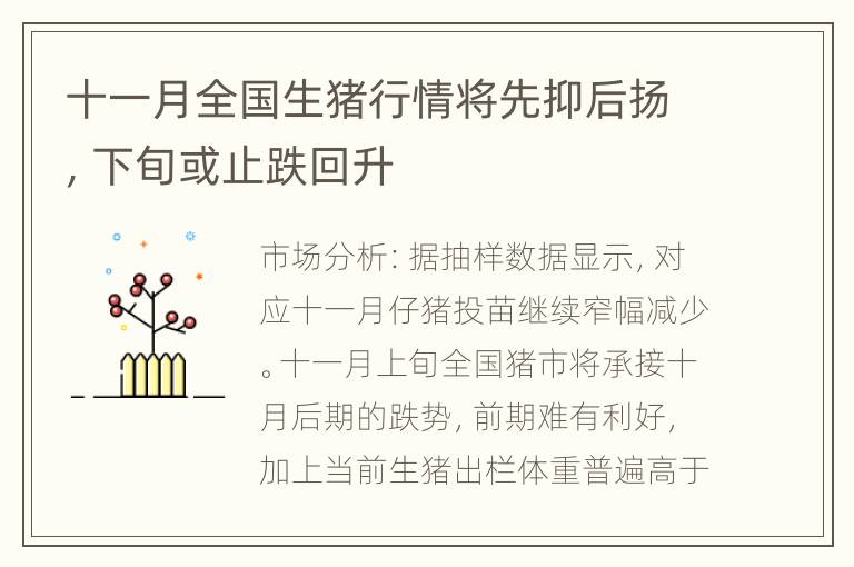 十一月全国生猪行情将先抑后扬，下旬或止跌回升