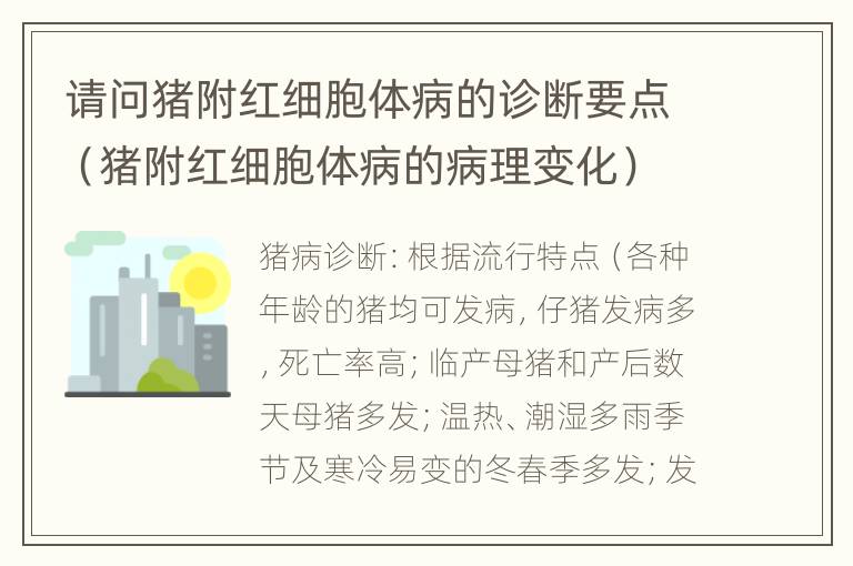 请问猪附红细胞体病的诊断要点（猪附红细胞体病的病理变化）