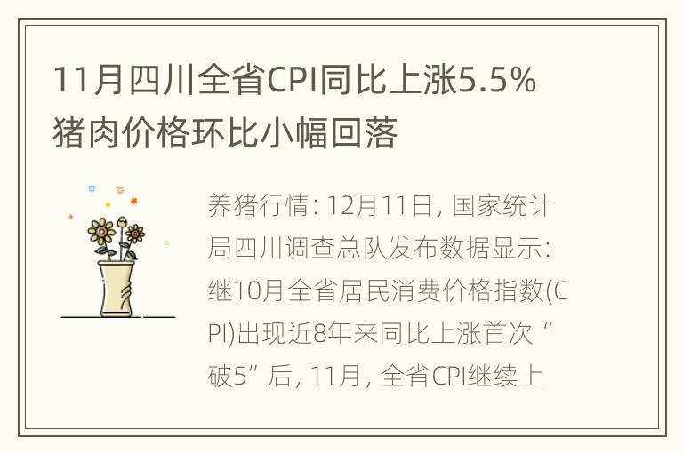 11月四川全省CPI同比上涨5.5% 猪肉价格环比小幅回落