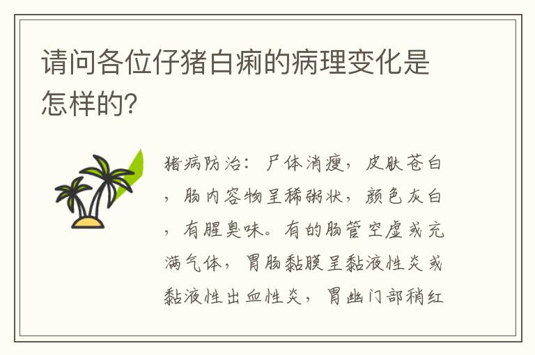 请问各位仔猪白痢的病理变化是怎样的？