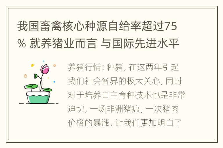 我国畜禽核心种源自给率超过75% 就养猪业而言 与国际先进水平对比