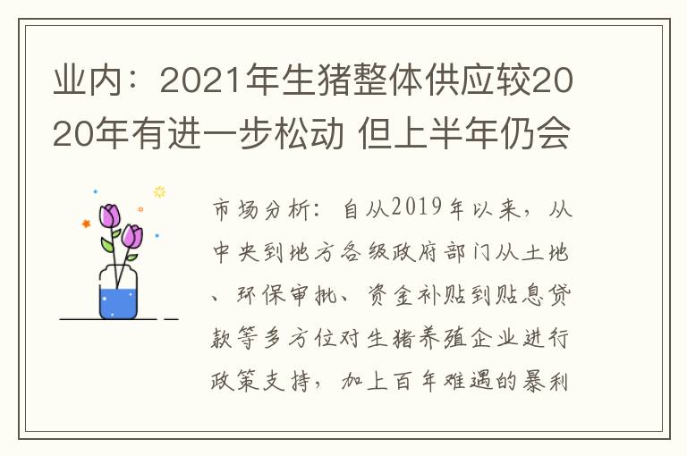 业内：2021年生猪整体供应较2020年有进一步松动 但上半年仍会处