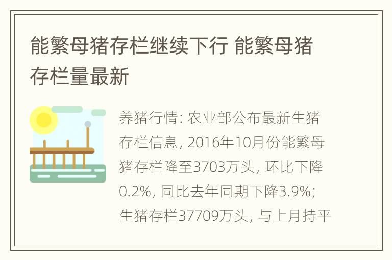 能繁母猪存栏继续下行 能繁母猪存栏量最新