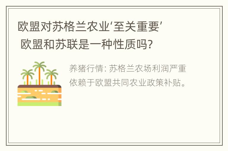 欧盟对苏格兰农业‘至关重要’ 欧盟和苏联是一种性质吗?