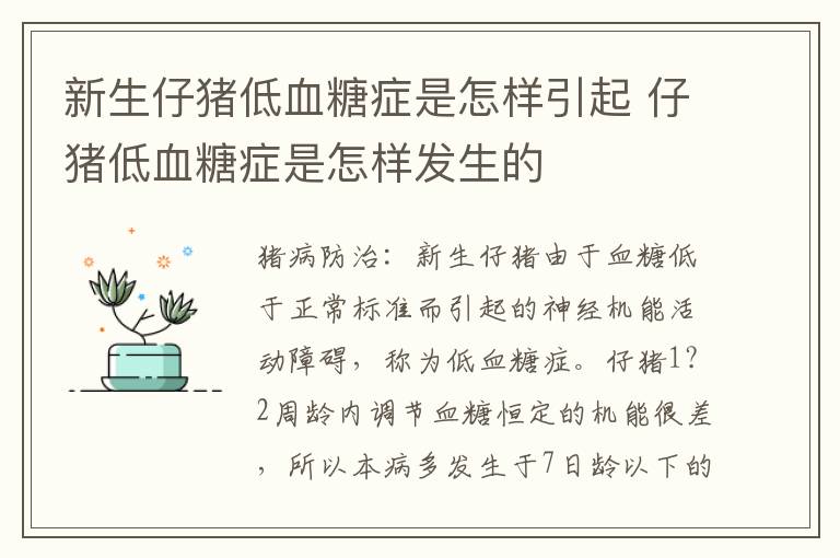 新生仔猪低血糖症是怎样引起 仔猪低血糖症是怎样发生的