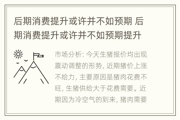 后期消费提升或许并不如预期 后期消费提升或许并不如预期提升