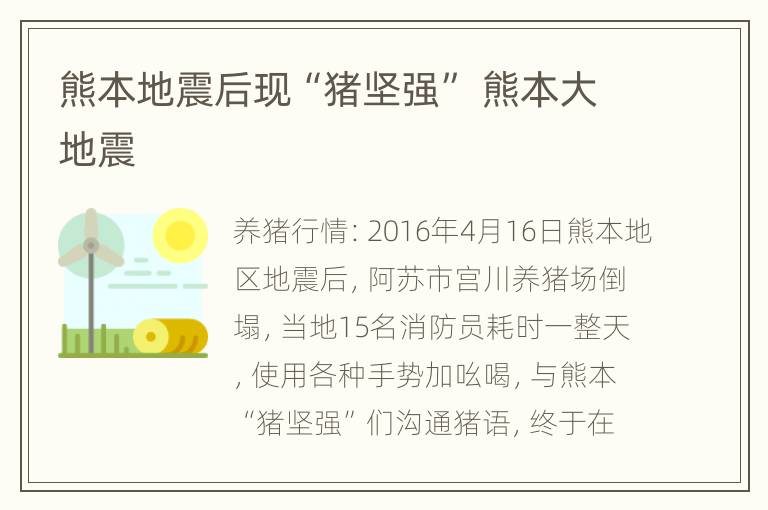 熊本地震后现“猪坚强” 熊本大地震