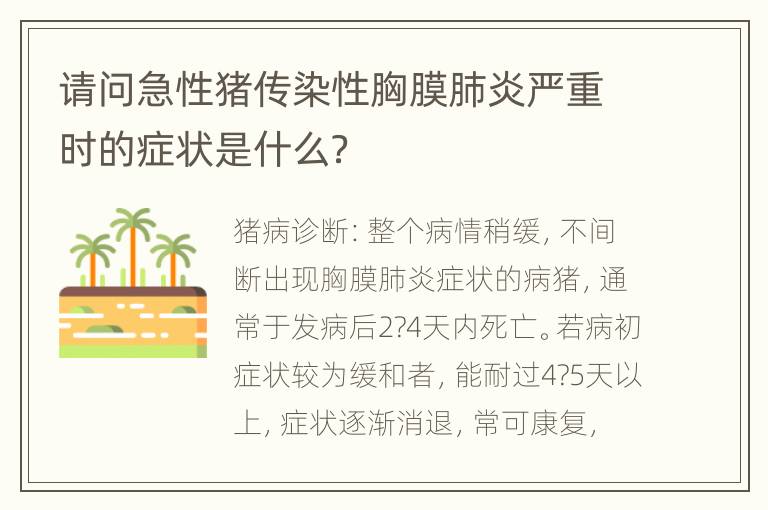 请问急性猪传染性胸膜肺炎严重时的症状是什么？