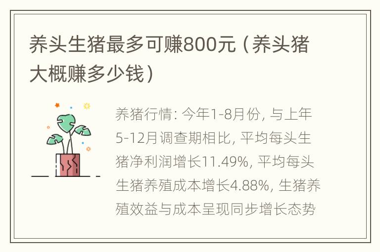 养头生猪最多可赚800元（养头猪大概赚多少钱）