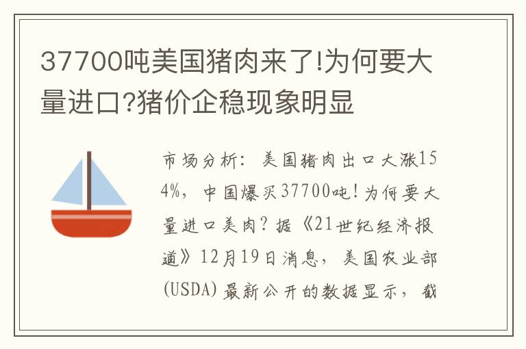 37700吨美国猪肉来了!为何要大量进口?猪价企稳现象明显