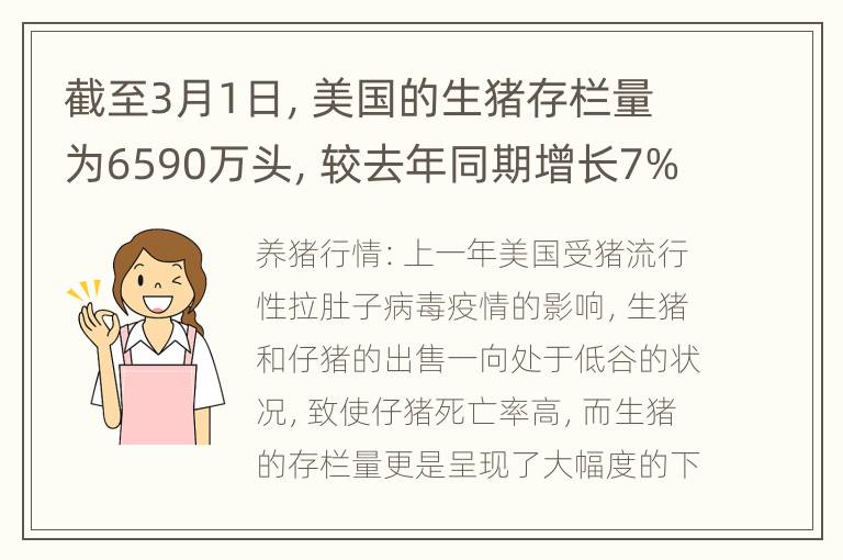 截至3月1日，美国的生猪存栏量为6590万头，较去年同期增长7%