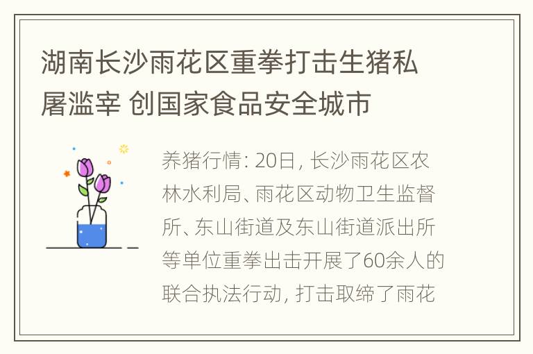 湖南长沙雨花区重拳打击生猪私屠滥宰 创国家食品安全城市