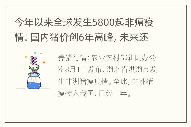 今年以来全球发生5800起非瘟疫情！国内猪价创6年高峰，未来还会