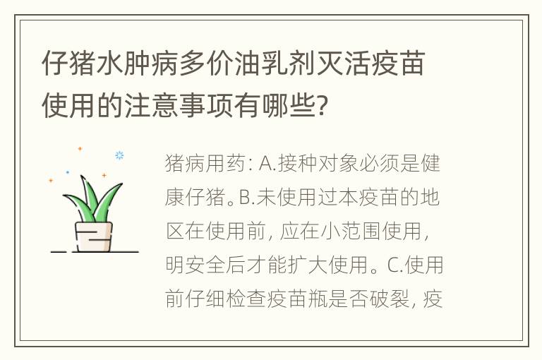 仔猪水肿病多价油乳剂灭活疫苗使用的注意事项有哪些？