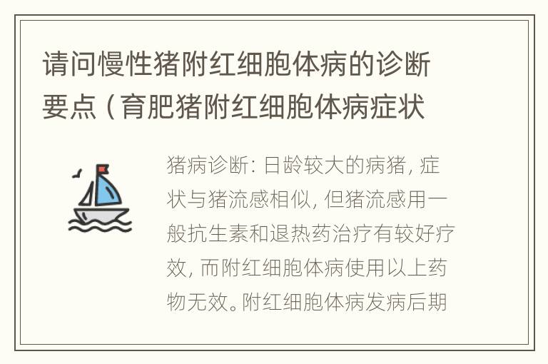 请问慢性猪附红细胞体病的诊断要点（育肥猪附红细胞体病症状和治疗）