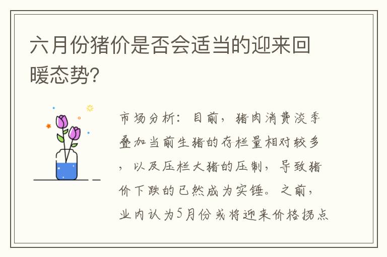 六月份猪价是否会适当的迎来回暖态势？