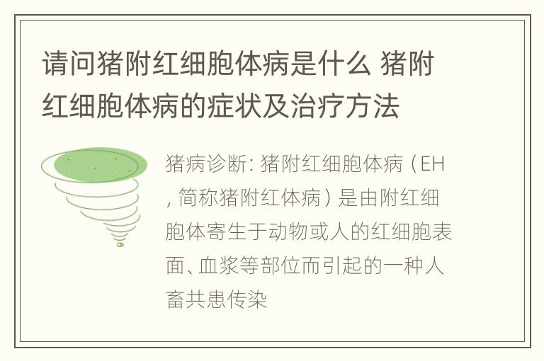 请问猪附红细胞体病是什么 猪附红细胞体病的症状及治疗方法