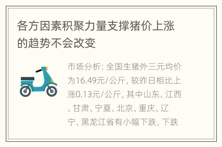 各方因素积聚力量支撑猪价上涨的趋势不会改变