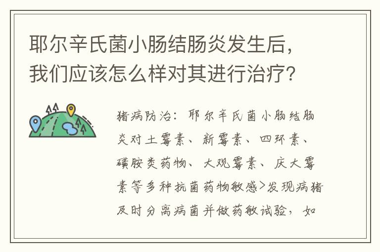 耶尔辛氏菌小肠结肠炎发生后，我们应该怎么样对其进行治疗？